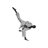 Communication3mtkd sport taekwondo montpellier 3mtkd Sticker