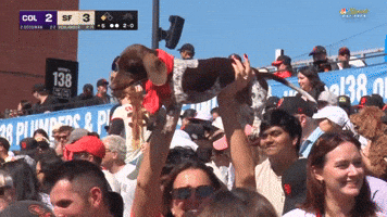 San Francisco Giants Sport GIF by MLB