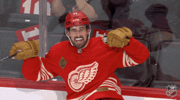 Happy Red Wings GIF by NHL