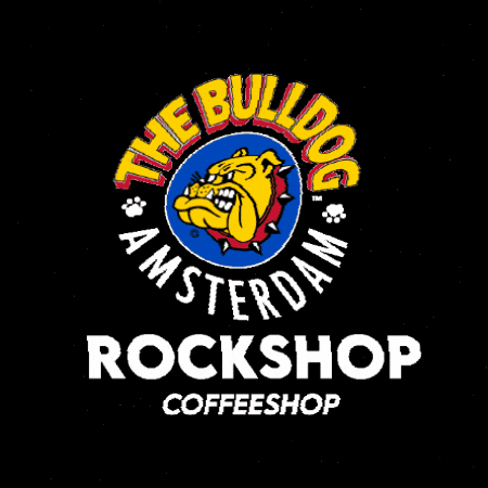 Thebulldog GIF by The Bulldog Amsterdam