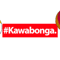 Kawabonga-Party party hiphop trap reggaeton Sticker
