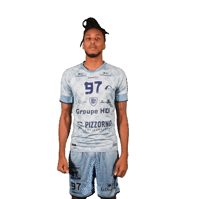 Srvhb Sticker by Saint-Raphaël Var Handball