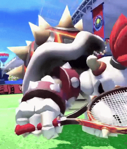 Super Mario Bowser GIF