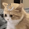 Let Me Think What GIF
