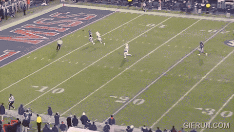 RotoBaller giphyupload GIF