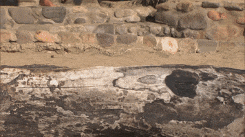 Water Love GIF by Bachelor in Paradise
