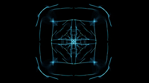 FriendshipCube giphygifmaker GIF