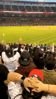Intruder at White Sox Game Double Teamed by Security