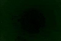 Twitter Tweet GIF