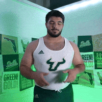 South Florida Horns Up GIF by USF Athletics