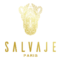 Paris Sticker by Salvajeworld