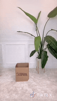 Game Fun GIF by TikTok MENA