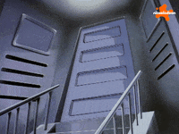 Tmnt GIF by Teenage Mutant Ninja Turtles