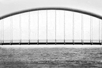 black and white loop GIF by A. L. Crego