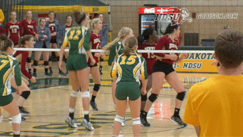 north dakota state bison GIF by NDSU Athletics