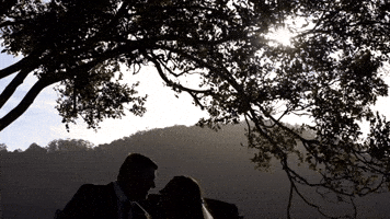 taylamcgrathprojects bride and groom barn wedding tm projects tayla mcgrath GIF