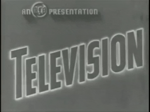 Television When Someone Asks My Plans GIF by LaGuardia-Wagner Archives