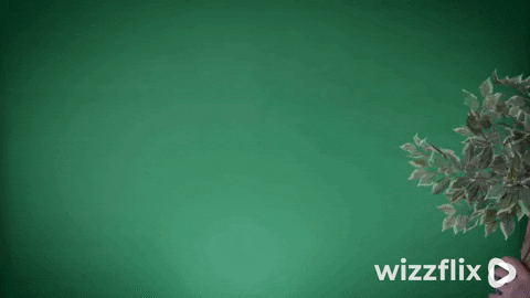 Wizzflix_ giphyupload work green strong GIF