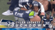 Seattle Seahawks Football GIF by NFL