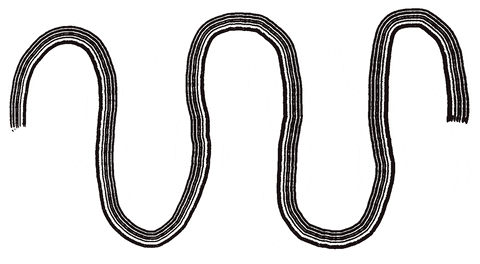 EverydayOil giphyupload GIF