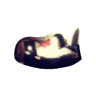 Dream Sticker by jorgemariozuleta