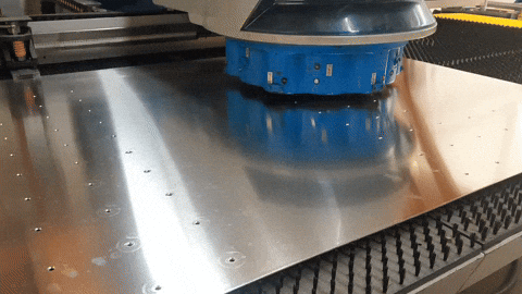 blechnereigogolin  GIF