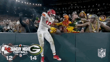 National Football League GIF by NFL