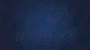 wcaps GIF by West Michigan Whitecaps 
