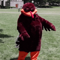 Floss Hokies GIF by Virginia Tech
