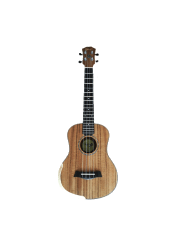 cursodeukulele giphyupload ukulele como tocar ukulele curso de ukulele Sticker