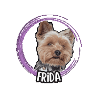 Yorkshire Terrier Sticker by Asilo per cani Dog'sMind