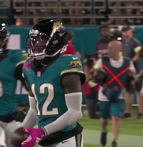 Jaguars GIF