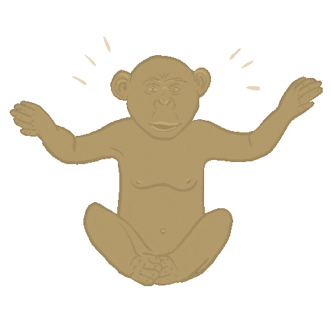 Home Monkey Sticker by Present Time