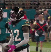 Jaguars GIF