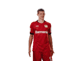 Bayer 04 Wtf Sticker by Bayer 04 Leverkusen