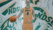Ndsu Basketball GIF by NDSU Athletics