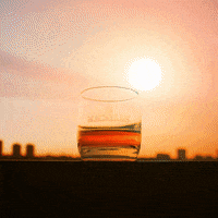 whiskey GIF by The Macallan