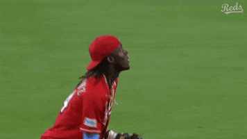 Major League Baseball Sport GIF by Cincinnati Reds