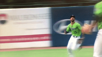 kccougars kccougars GIF