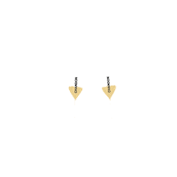 chandonar feliz champagne brindis ano Sticker