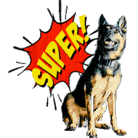 Dog Police Sticker by Kapo Aargau