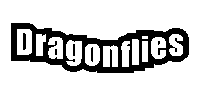 Dragonflies Sticker by Shea Hulse