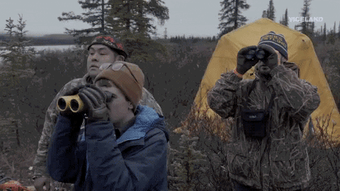GIF by BALLS DEEP with Thomas Morton