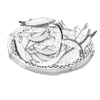 Ocean Fish Sticker