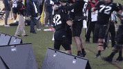 GIF by Iowa State