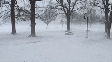 Cuyahoga County Buried Under Lake-Effect Snow