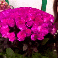 Cute Girl Surprise GIF