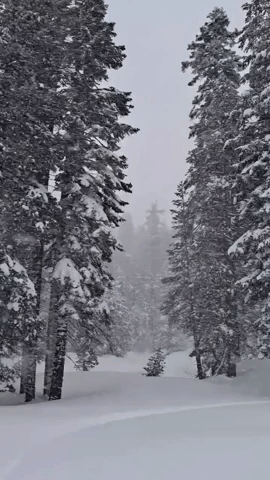 Travel 'Extremely Difficult to Impossible' in California Mountains Amid Heavy Snow