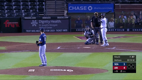 RotoBaller giphygifmaker GIF