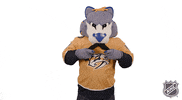 Ice Hockey GIF by NHL